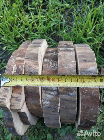 Спилы дерева 22см