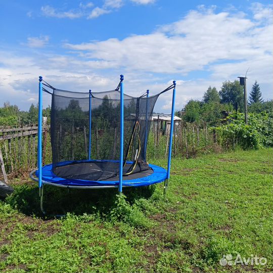 Батут