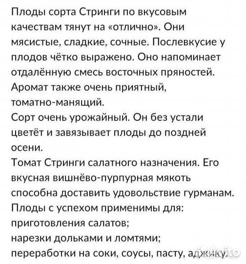 Семена томатов серии Гном томатный