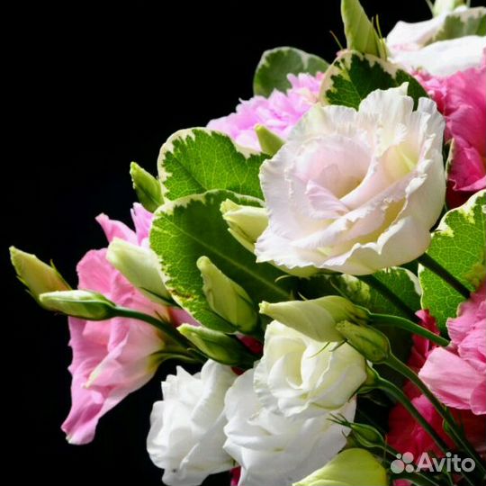 Фотограф. Предметная съемка в студии и с выездом