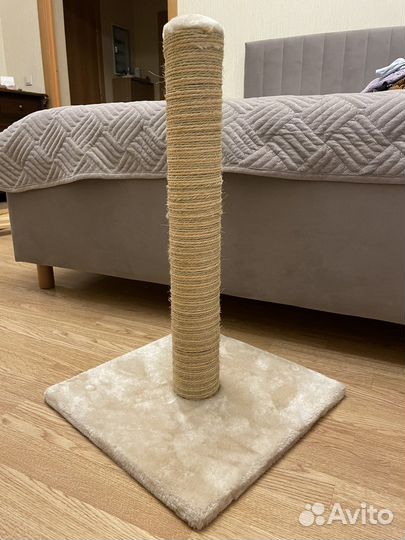 Когтеточка