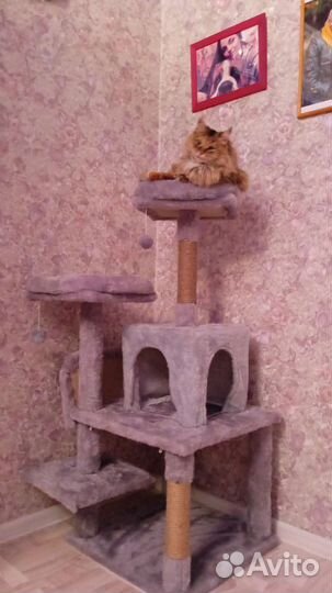 Домик для кошки с когтеточкой