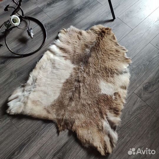 Шкура козы овцы