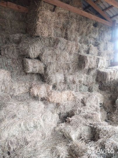 Сено, разнотравие