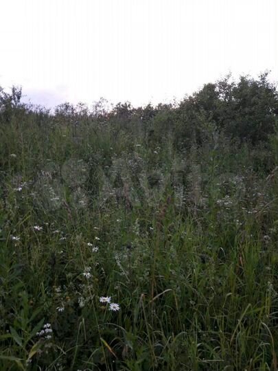 Участок 35 сот. (ИЖС)