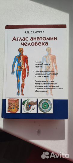 Атлас анатомии человека самусев