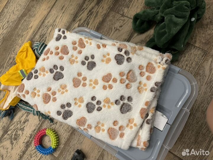 Собачьи вещи: Игрушки, Дождевик, костюм, спреи