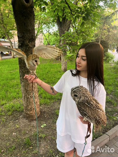 Фотоссессия