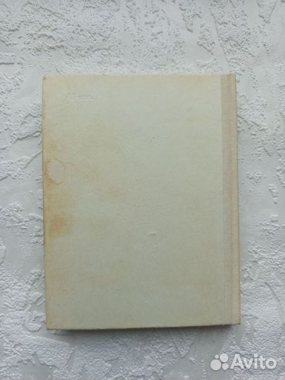 Сын полка Катаев