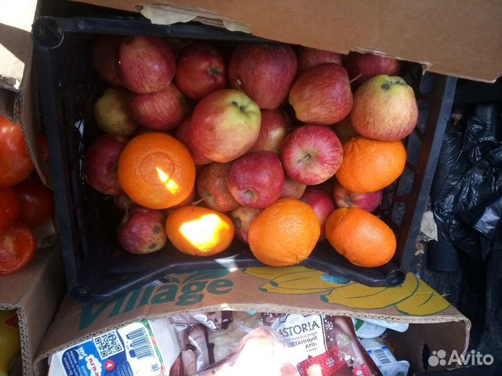 Корма для животных