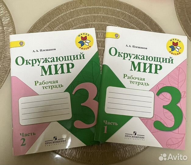 Рабочая тетрадь 3 класс школа России окр.мир