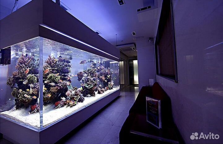 Обслуживание аквариумов