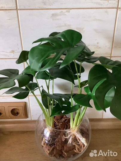 Искусственная монстера цветы Как настоящая Пальма