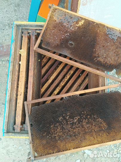 Ульи для пчел бу