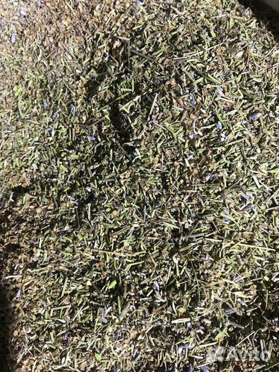 Лаванда отсев