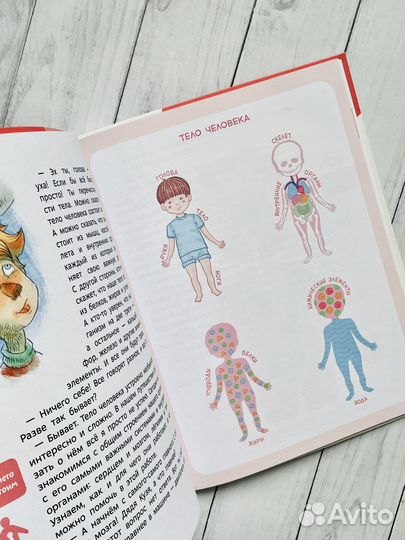 Энциклопедии Чевостика