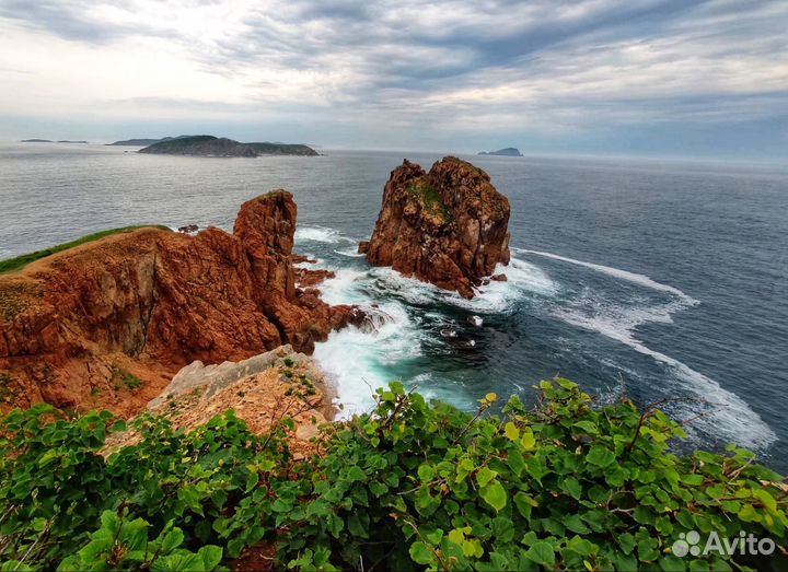 Императорские острова. острова Желтухина и Рикорда