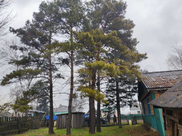 Дом 48,6 м² на участке 24 сот.