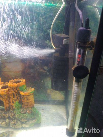 Аквариум + рыбки