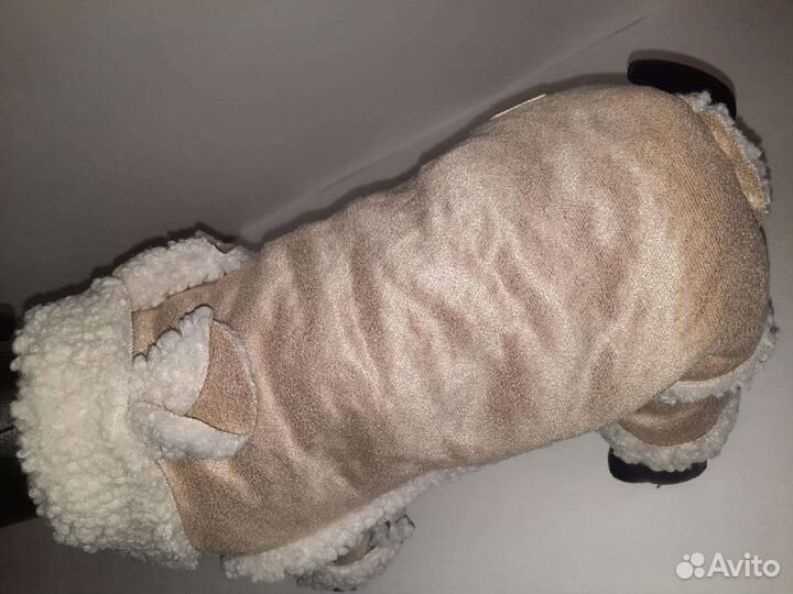 Костюм для собаки