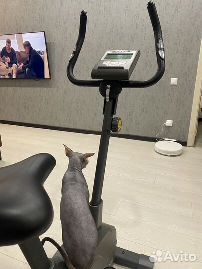 Велотренажер torneo