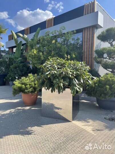 Кашпо для цветов зеркальное из нержавеющей стали