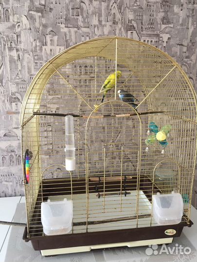 Клетка для птиц