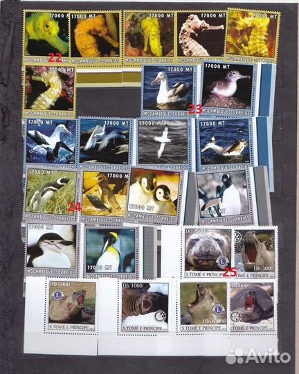 Чистые марки фауна, 33