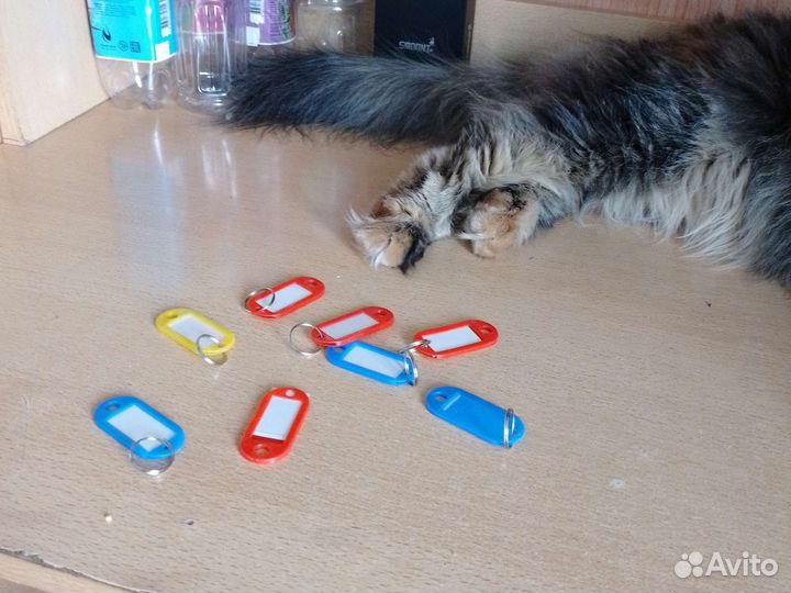 Брелок номерной