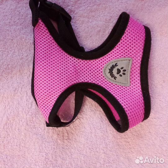 Одежда для собак мелких пород