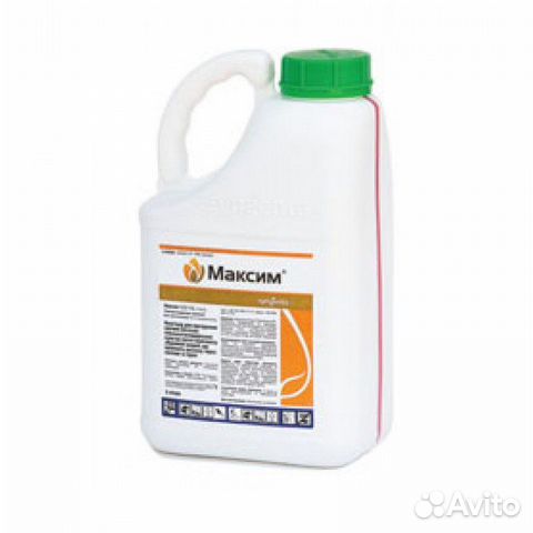 Максим фунгицид