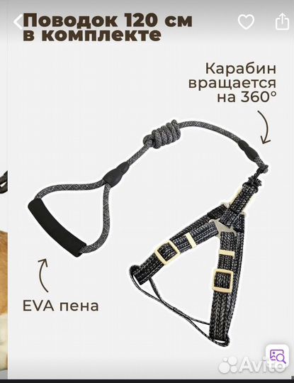 Шлейка для собак маленьких пород