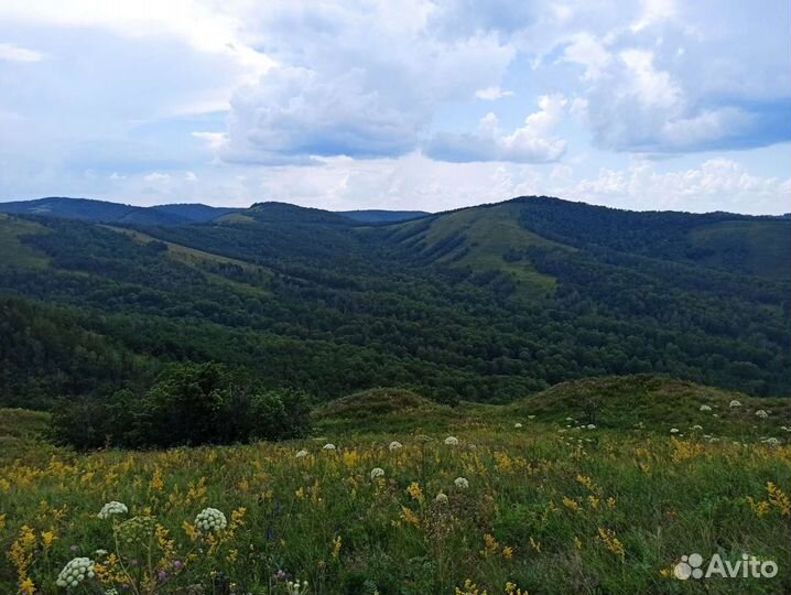 Тур в Мурадымовское ущелье