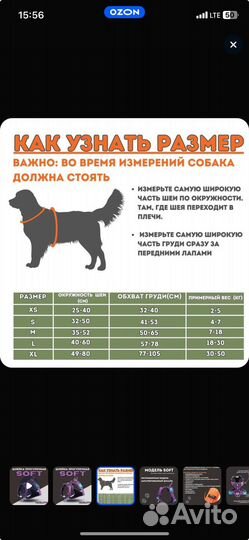 Анатомическая шлейка XS