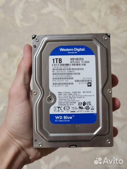 Жесткий диск WD blue