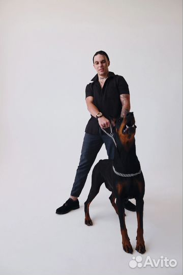 Фотосессия с доберманом