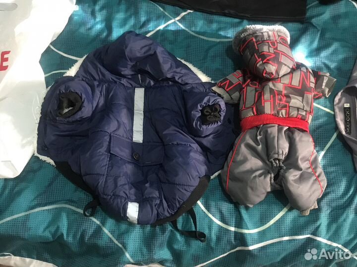 Одежда для собак