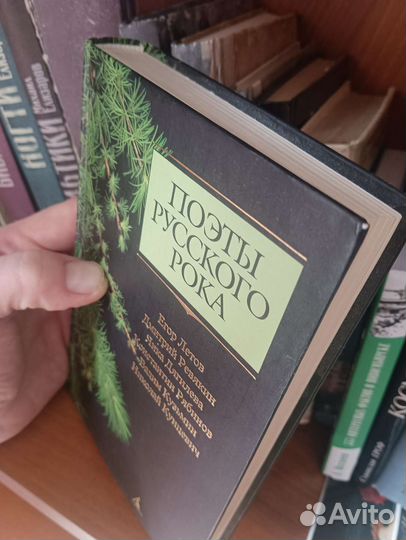 Поэты русского рока