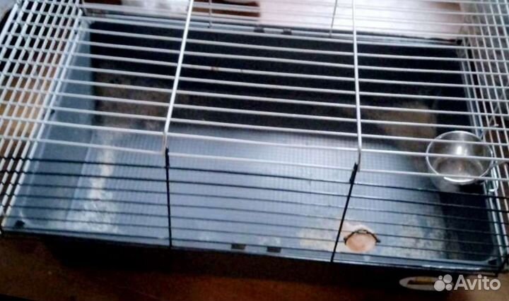 Клетка для кролика