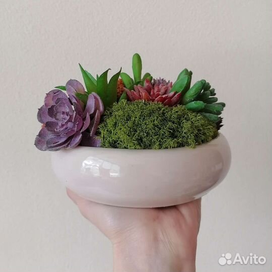 Композиция в кашпо с суккулетами и мхом