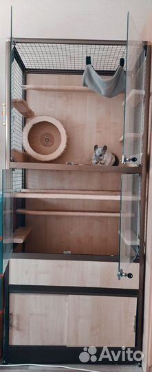 Клетка для шиншиллы и шиншилла
