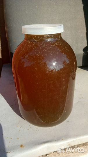 Пчелиный воск, мед, прополис, молоко, творог, сыр