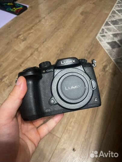 Panasonic lumix gh5