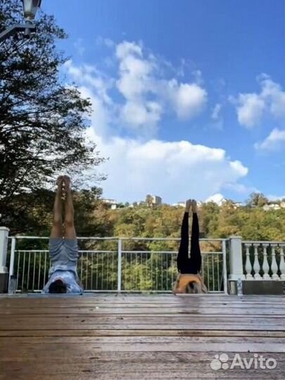 Хатха йога в Сочи. Маяк. Ривьера