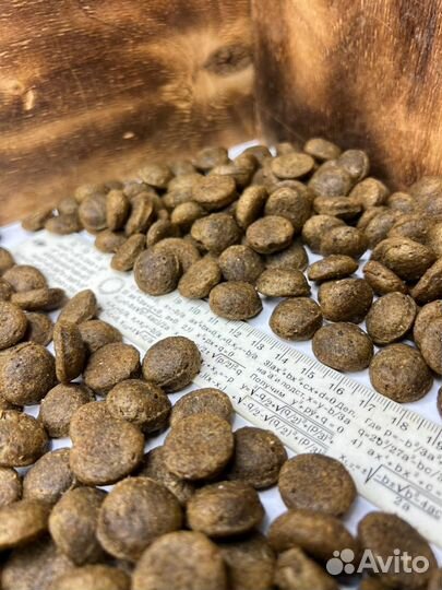 Сухой корм для собак крупных пород