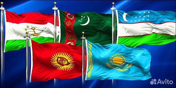 Укладчик упаковщик