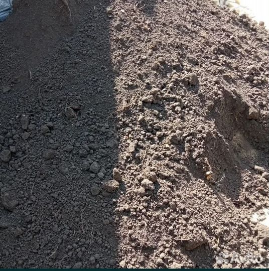 Черный чернозем Перегной готовый,газ,ЗИЛ,камаз 15т