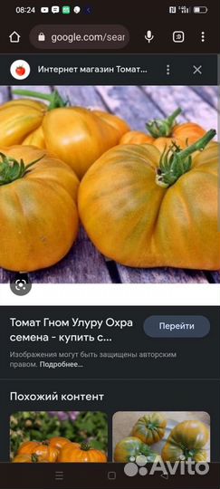 Продам семена редких экзотических томатов