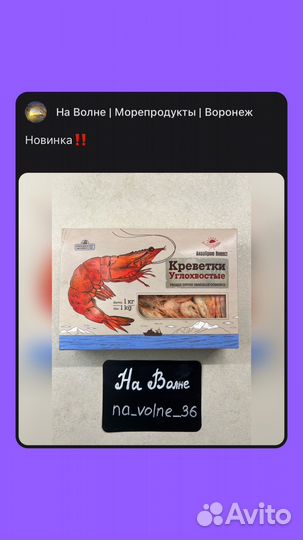 Креветки углохвостые