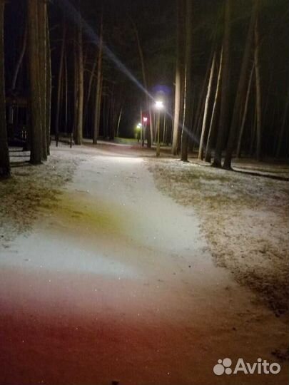 База отдыха, номер